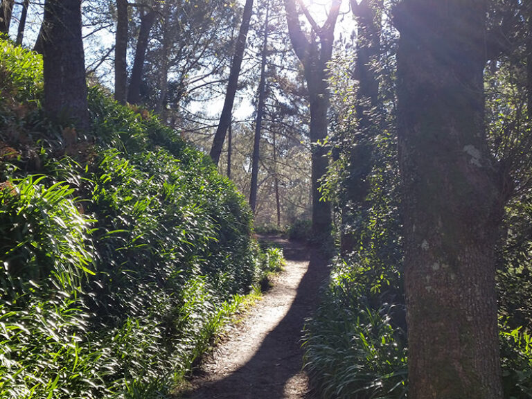 Vale Paraíso / Rochão - This walk starts at the Paraiso Valley and ends at Rochão and gives you the opportunity to get to...